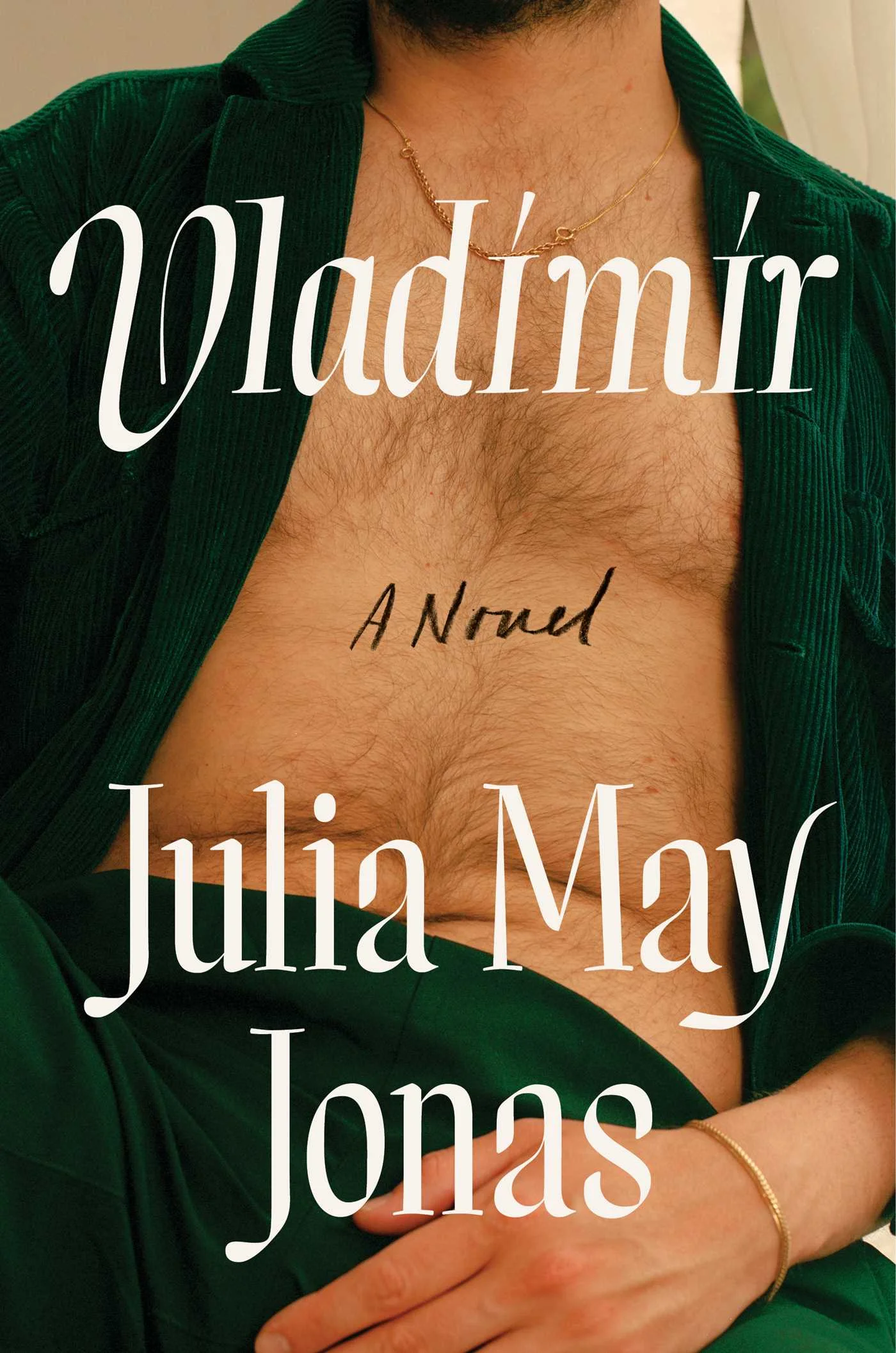 Julia May Jonas's Vladimir: Exploring M's Changed Perspective